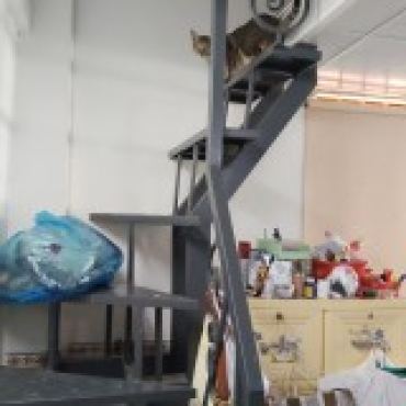 Hình ảnh Bán nhà hẻm 18/1 Đường số 18( Phạm Hùng ) Phường Chánh Hưng Tp Hồ Chí Minh