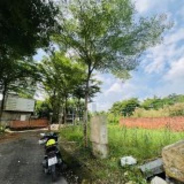 Hình ảnh Bán đất thửa 745 tờ 40 Hẻm 1344 Lê Văn Lương Xã Nhà Bè Tp Hồ Chí Minh
