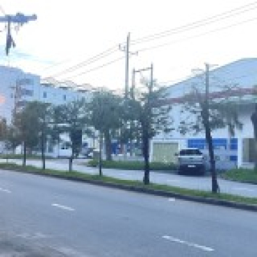 Hình ảnh Bán đất thửa 312 tờ 19 312 tờ 19 Phường Tân Sơn Tp Hồ Chí Minh