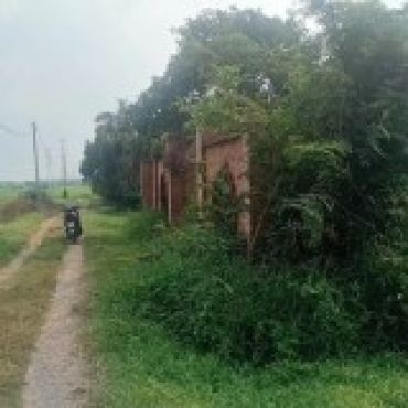 Hình ảnh Bán đất thửa 147 tờ 13 147 tờ 13 Xã Bình Mỹ Tp Hồ Chí Minh