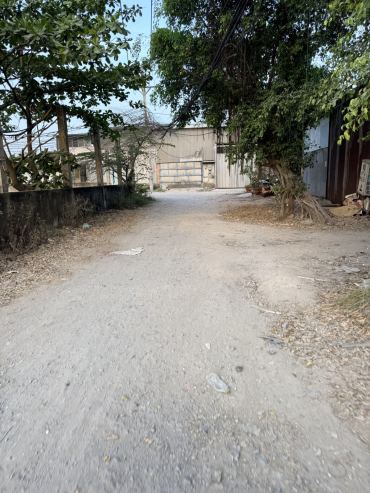 Hình ảnh Bán đất thửa 570 tờ 39 Thửa 570 tờ 39 Xã Vĩnh Lộc Tp Hồ Chí Minh