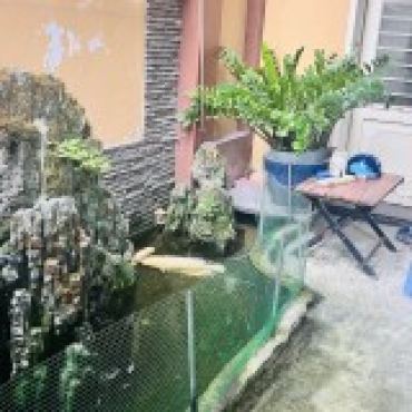 Hình ảnh Bán nhà hẻm 59/3Z ấp Tiền Lân1 đường Tiền Lân 13 Xã Bà Điểm Tp Hồ Chí Minh