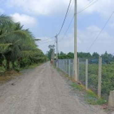 Hình ảnh Bán đất thửa 601 tờ 21 Vườn Thơm Xã Bình Lợi Tp Hồ Chí Minh