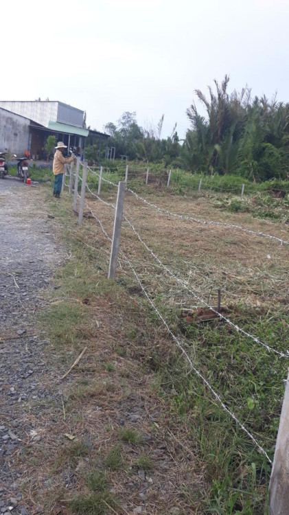 Hình ảnh Bán thửa 529 ,tờ 57 đường số 10 Phường Long Phước
