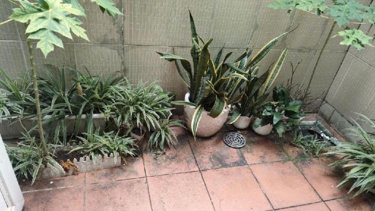 Hình ảnh Bán nhà mặt tiền 18b Số, Phước Long