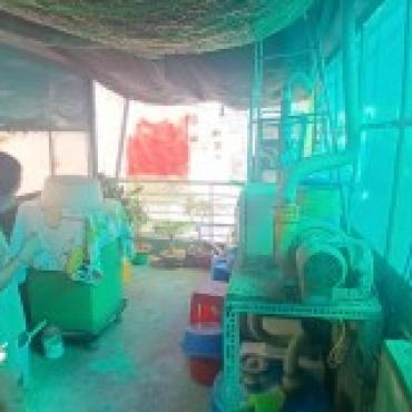 Hình ảnh Bán nhà hẻm 321/13A - 321/17 Phạm Văn Chí Phường Bình Tiên Tp Hồ Chí Minh