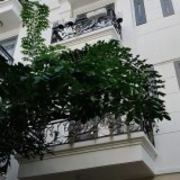 Hình ảnh Bán nhà hẻm 467/50/19 Hà Huy Giáp KP5 Phường Thới An Tp Hồ Chí Minh