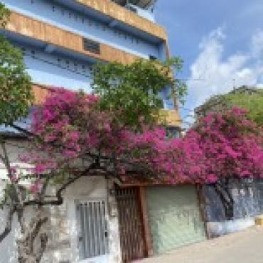 Hình ảnh Bán nhà hẻm 10/11 (số mới 2221.1.2.1.32) Huỳnh Tấn Phát Xã Nhà Bè Tp Hồ Chí Minh