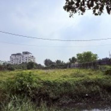 Hình ảnh Bán đất thửa 540 tờ 36 An Phú Đông 3 Phường An Phú Đông Tp Hồ Chí Minh