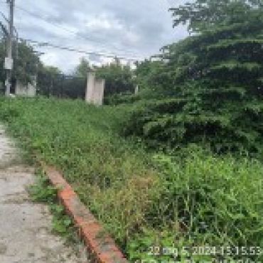 Hình ảnh Bán đất thửa 463 tờ 61 463 tờ 61 Xã Xuân Thới Sơn Tp Hồ Chí Minh