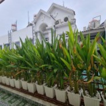 Hình ảnh Bán nhà hẻm 206/39/12/29 Huỳnh Tấn Phát Xã Nhà Bè Tp Hồ Chí Minh