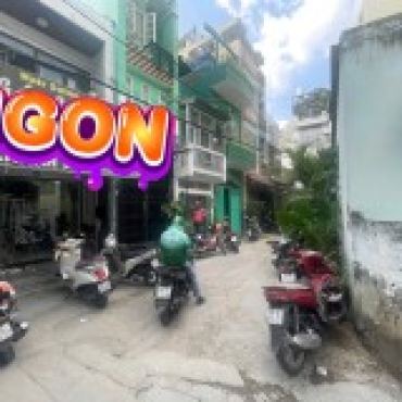 Hình ảnh Bán nhà hẻm 316/23 Bùi Đình Tuý Phường Bình Thạnh Tp Hồ Chí Minh
