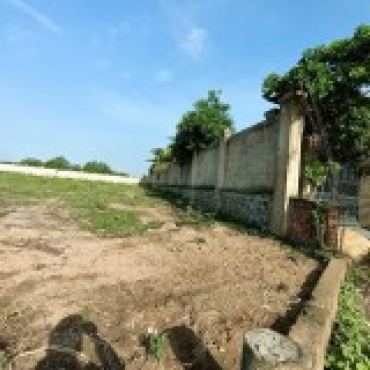 Hình ảnh Bán đất 89 Cầu Đình Phường Long Phước Tp Hồ Chí Minh