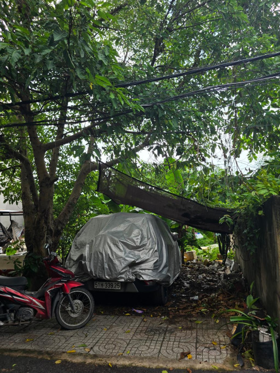 Hình ảnh Bán nhà hẻm 61/15 Hàng Tre, Phường Long Bình