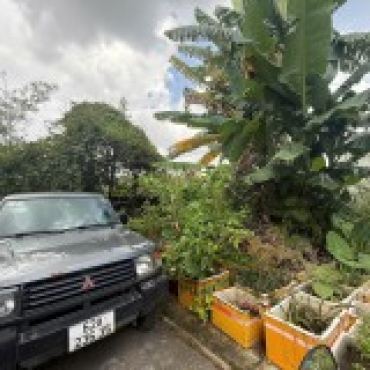 Hình ảnh Bán đất thửa 627 tờ 10 HXH 496 Lã Xuân Oai Phường Long Trường Tp Hồ Chí Minh