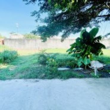Hình ảnh Bán đất thửa 1561 tờ 41 Thửa 1561 Tờ 41 Xã Hóc Môn Tp Hồ Chí Minh