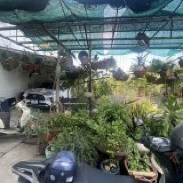 Hình ảnh Bán đất thửa 546 tờ 47 Mặt phố Phường Bình Hưng Hòa Tp Hồ Chí Minh