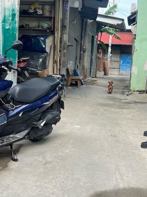 Hình ảnh Bán nhà mặt tiền 83 Trần Thị Bốc, xã Đông Thạnh