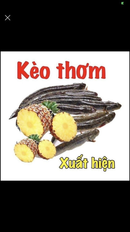 Hình ảnh Bán nhà mặt tiền 14 Bùi Văn Ba, Tân Thuận