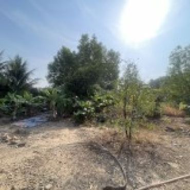 Hình ảnh Bán đất thửa 533 tờ 1 Đường Số 2 Phường Long Phước Tp Hồ Chí Minh