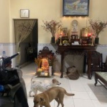 Hình ảnh Bán nhà 10A ( Thửa 757 + thửa 758 tờ 37) Đường số 9 Phường Long Trường Tp Hồ Chí Minh