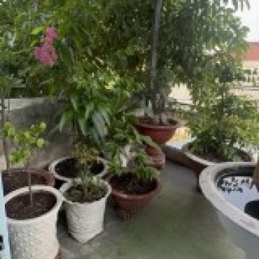 Hình ảnh Bán nhà hẻm 26/1B Lý Thường Kiệt Xã Hóc Môn Tp Hồ Chí Minh