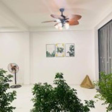 Hình ảnh Bán nhà hẻm 64/13 Đồng Đen Phường Bảy Hiền Tp Hồ Chí Minh