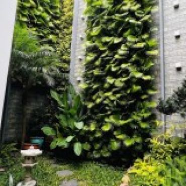 Hình ảnh Bán nhà 1244A Kha Vạn Cân Phường Linh Xuân Tp Hồ Chí Minh