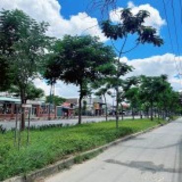 Hình ảnh Bán đất thửa 810 tờ 15 mới 1645 Trần Văn Giàu Xã Vĩnh Lộc Tp Hồ Chí Minh