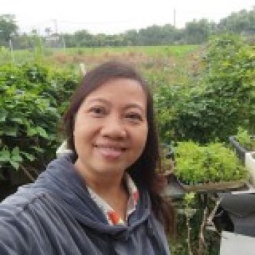 Hình ảnh Bán đất thửa 528 tờ 07 Hưng Long - Quí Đức Xã Hưng Long Tp Hồ Chí Minh
