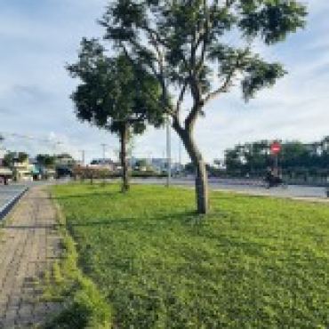 Hình ảnh Bán nhà 49 Đặng Thúc Vịnh Ấp 3 Xã Đông Thạnh Tp Hồ Chí Minh