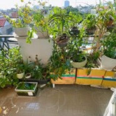 Hình ảnh Bán nhà hẻm 107/51 Ni Sư Huỳnh Liên Phường Tây Thạnh Tp Hồ Chí Minh