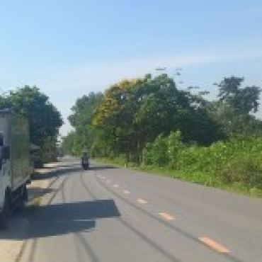 Hình ảnh Bán nhà hẻm 4A120/1 Thanh Niên Xã Vĩnh Lộc Tp Hồ Chí Minh