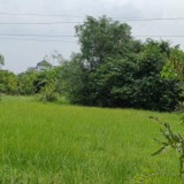 Hình ảnh Bán đất thửa 37 tờ 30 Bình Quới Phường Bình Quới Tp Hồ Chí Minh