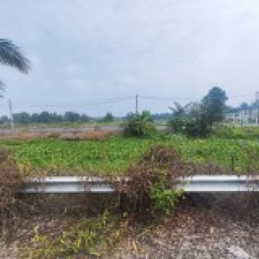 Hình ảnh Bán đất thửa 109 tờ 21 + Thửa 584, 585, 586, 109 Tờ 06 Kênh 5 Vườn Thơm Xã Bình Lợi Tp Hồ Chí Minh