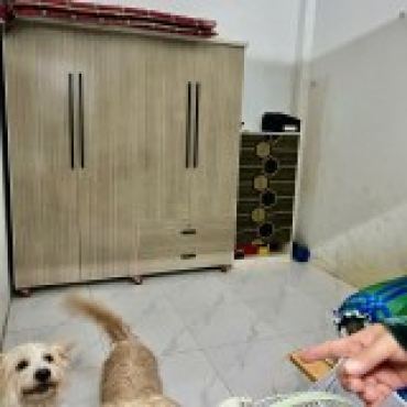 Hình ảnh Bán nhà hẻm 26/6A Trịnh Thị Miếng ( ấp Trung Đông ) Xã Hóc Môn Tp Hồ Chí Minh