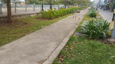 Hình ảnh Bán nhà 130 Ụ Cây Phường Bình Đông Tp Hồ Chí Minh
