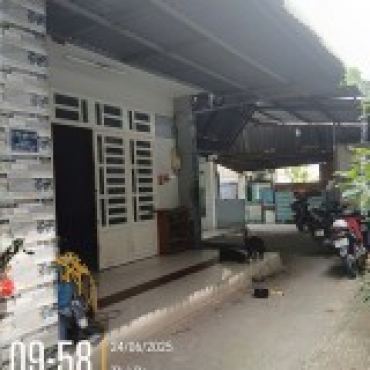 Hình ảnh Bán chung cư (Thửa 584 tờ 23) 175.69B.10 Đường số 3 Phường Tăng Nhơn Phú Tp Hồ Chí Minh