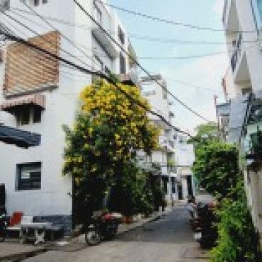 Hình ảnh Bán đất thửa 732 tờ 79 732 Tờ 79 Phường Tân Sơn Nhì Tp Hồ Chí Minh