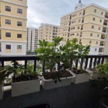 Hình ảnh Bán chung cư Chung cư CH3 KDC Cityland Park Hill Phường Gò Vấp Tp Hồ Chí Minh