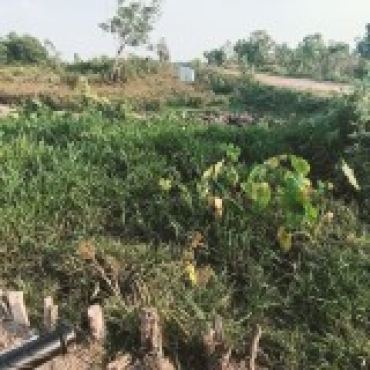 Hình ảnh Bán đất thửa 507 tờ 13 Mặt phố Xã Hóc Môn Tp Hồ Chí Minh