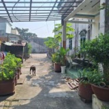Hình ảnh Bán nhà hẻm 22/16 Đường số 2 Phường Cát Lái Tp Hồ Chí Minh