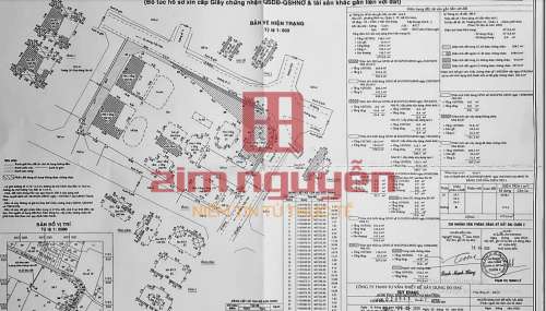 Hình ảnh Bán đất 2 mặt tiền Đường số 12 Bình An Quận 2 DT 4116m