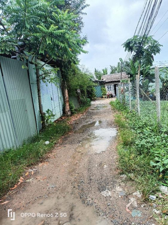 Hình ảnh Bán Thửa 544 tờ 14 Võ Văn Hát Phường Long Trường