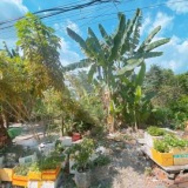 Hình ảnh Bán đất thửa 642 tờ 51 Đường Số 17 Phường Linh Xuân Tp Hồ Chí Minh