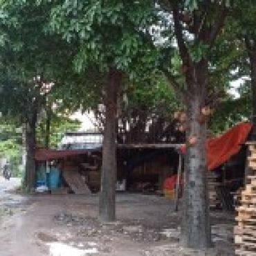 Hình ảnh Bán đất thửa 659 tờ 84 Đường Số 10 Phường Linh Xuân Tp Hồ Chí Minh
