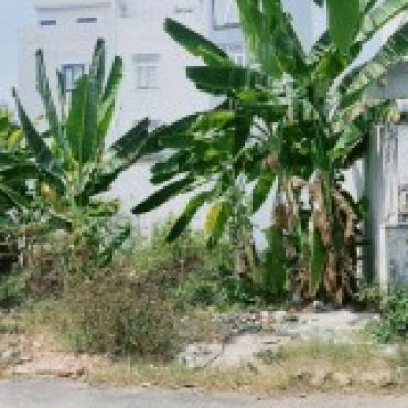 Hình ảnh Bán đất thửa 824 tờ 80 Đường Số 655 Phường Phước Long Tp Hồ Chí Minh