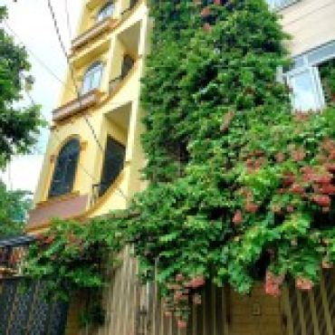Hình ảnh Bán nhà hẻm 219/48 Đất Thánh Phường Bảy Hiền Tp Hồ Chí Minh