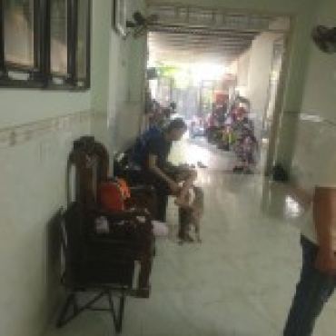 Hình ảnh Bán nhà hẻm 51/7 Trần Thị Cờ (thửa 562 tờ 30) Phường Thới An Tp Hồ Chí Minh