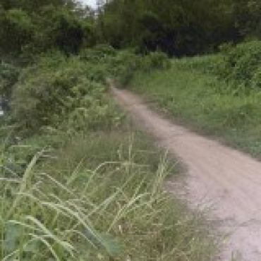Hình ảnh Bán đất thửa 469 tờ 42 Phú Hòa Đông Xã Phú Hòa Đông Tp Hồ Chí Minh